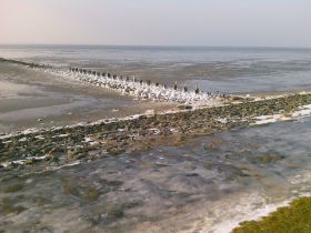 die Nordsee bei Ebbe im Winter.jpg